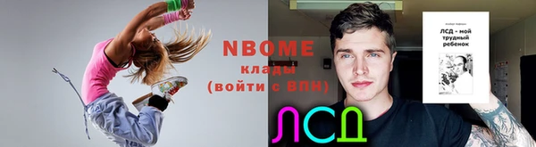 соль ск Новодвинск