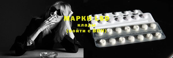 прущие крисы Болотное