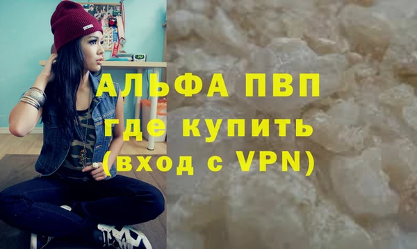 соль ск Новодвинск