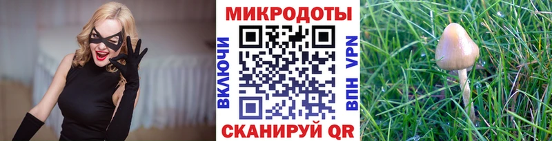 Галлюциногенные грибы Psilocybe  MEGA вход  Клин 