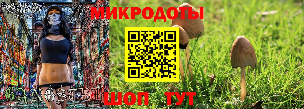 Клин  Псилоцибиновые грибы Psilocybe  Вход с VPN  Псилоцибиновые грибы мухоморы 